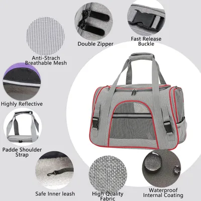 Reitlaze Caisse de Transport Chien Respirant et Pliable Cage