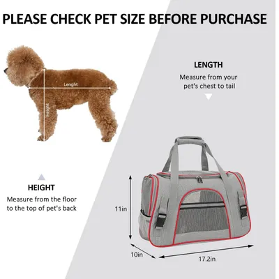 Reitlaze Caisse de Transport Chien Respirant et Pliable Cage