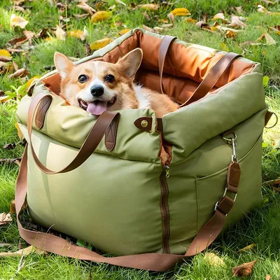 Reitlaze Siège auto amovible pour animaux de compagnie