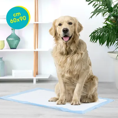 Record - Tapis hygiéniques pour Chiens et Chats, 1 pièce
