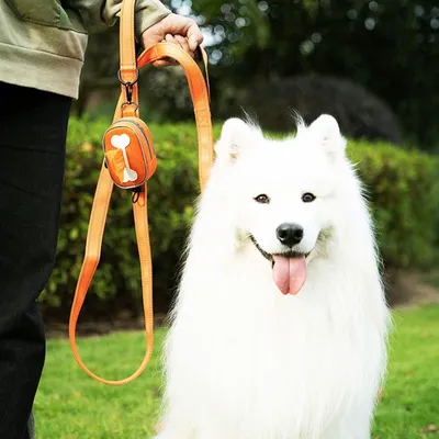 Distributeur de sacs à déjections canines avec cordon élastique