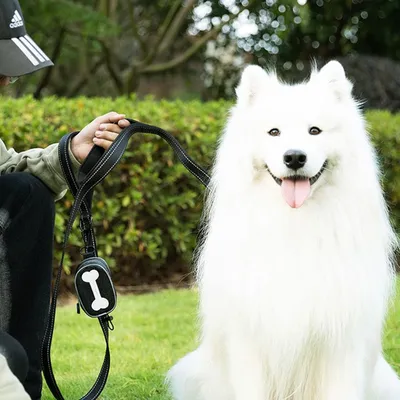 Distributeur de sacs à déjections canines avec cordon élastique