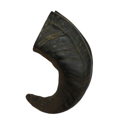 Corne de buffle Taille L