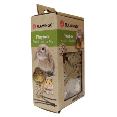 Flamingo - Boîte de jeu Flopsy Brun jouets à grignoter pour rongeur