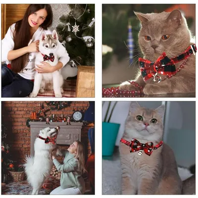 PetTribes Collier Noël chat, nœud papillon et clochette réglable.