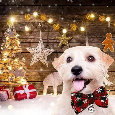 PetTribes Collier Noël chat, nœud papillon et clochette réglable.