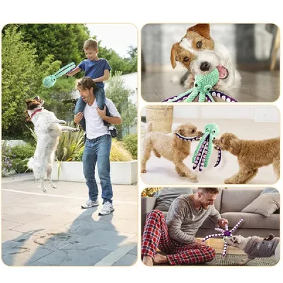 Zoomtopia Jouet couineur pour chien