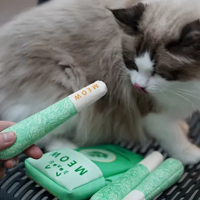 Jouets à l'herbe à chat pour chats, jouets à mâcher