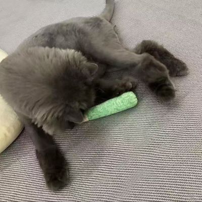 UAMLY Juguetes de hierba gatera para gatos, juguetes para masticar