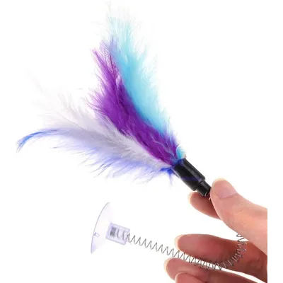 Baguette à plumes pour chat avec ventouse à ressort