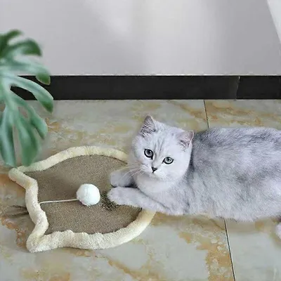 UAMLY Rascador para gatos hecho de sisal natural y cartón