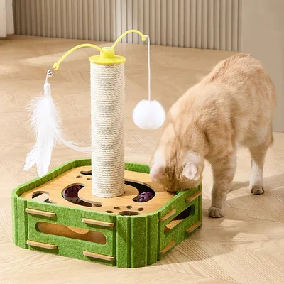 Boîte de jeu de puzzle pour chat interactif danseur