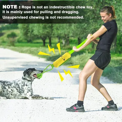 Jouet interactif pour chien à tirer (Maïs)