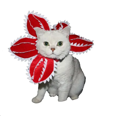 UAMLY Divertido tocado con forma de gato devorador de hombres