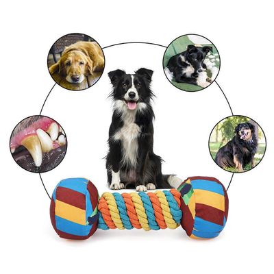 Jouet couineur pour chien - forme d'haltère