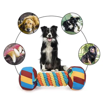 Jouet couineur pour chien - forme d'haltère