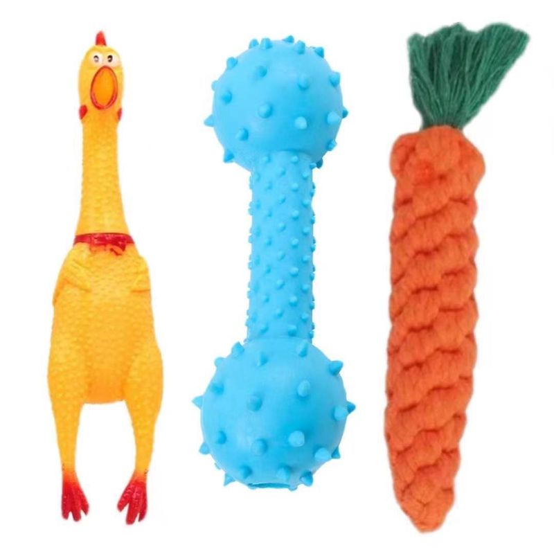 Zahnpflegespielzeug für Hunde (Karotte, Huhn, Hantel)