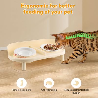 Gamelles surélevées inclinées pour chats