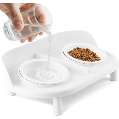 Gamelles surélevées inclinées pour chats