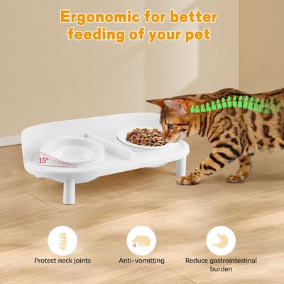 Gamelles surélevées inclinées pour chats