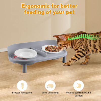 Gamelles surélevées inclinées pour chats