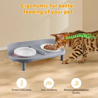 Gamelles surélevées inclinées pour chats