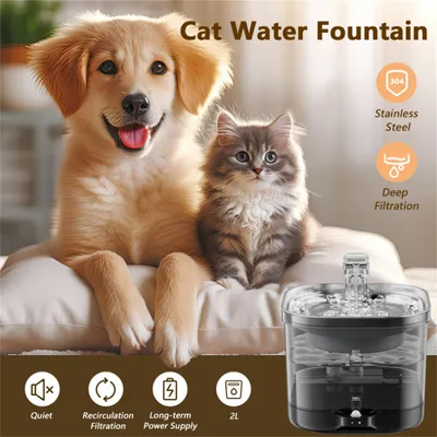 IntiMeg Fontaine d'eau sans fil pour chats et chiens - 2,0 litres