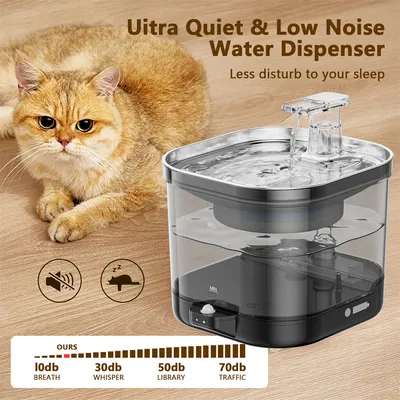 IntiMeg Fontaine d'eau sans fil pour chats et chiens - 2,0 litres
