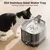 IntiMeg Fontaine d'eau sans fil pour chats et chiens - 2,0 litres