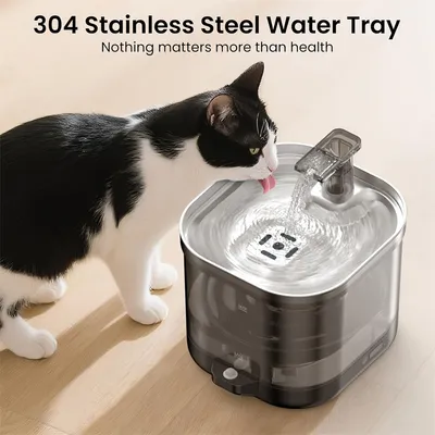 IntiMeg Fontaine d'eau sans fil pour chats et chiens - 2,0 litres