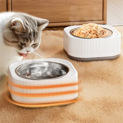 IntiMeg Bol à température constante pour chats et chiens