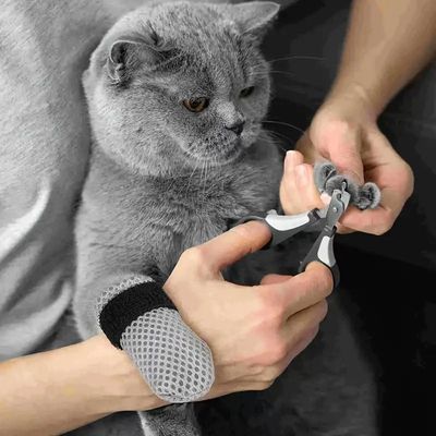 Chaussons pour chats anti-griffures
