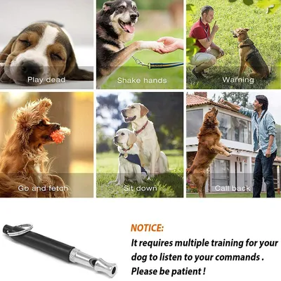 IntiMeg Sifflet de Dressage pour Animaux,Pack de 8 coloré