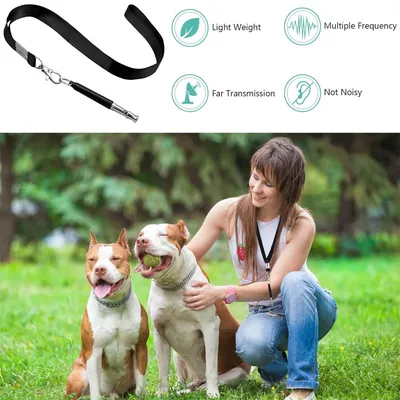 IntiMeg Sifflet de Dressage pour Animaux,Pack de 8 coloré