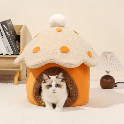 FurryFusion Maison en forme de champignon pour chat et chien