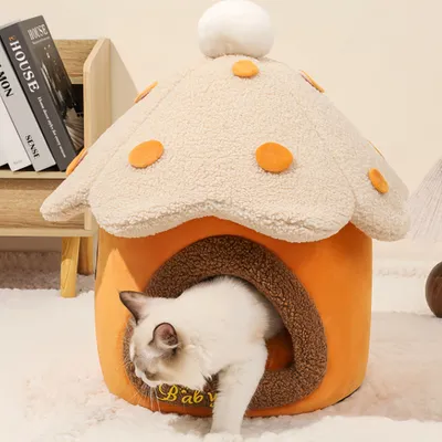 FurryFusion Maison en forme de champignon pour chat et chien