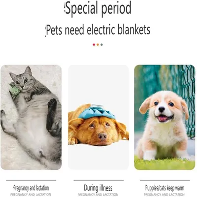 IntiMeg Tapis chauffant pour animal et 9 vitesses（gris）