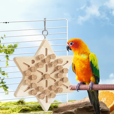 KPYTE Jouets à mâcher pour perroquets