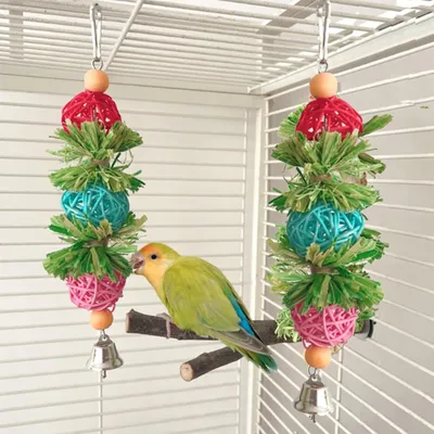 KPYTE Jouet perroquet en rotin et feuilles de maïs