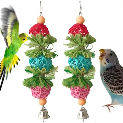 KPYTE Jouet perroquet en rotin et feuilles de maïs KPYTE Jouet perroquet en rotin et feuilles de maïs
