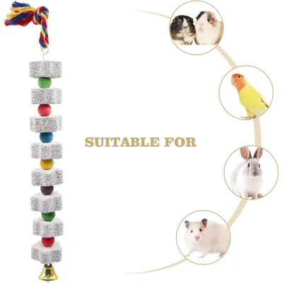 KPYTE Jouet à mâcher pour perroquet