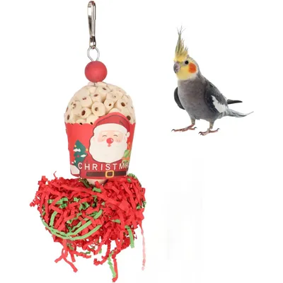 KPYTE Jouet de Noël pour trouver des oiseaux