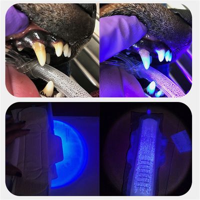 IntiMeg Linterna UV con luz LED de 395 nm