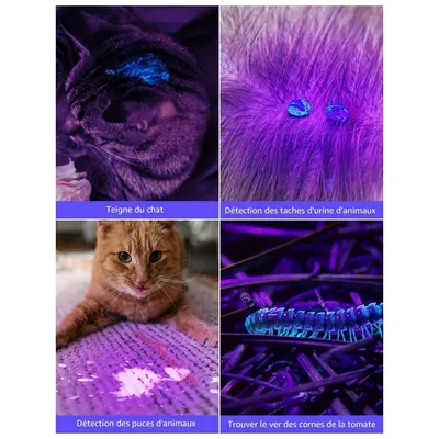 IntiMeg Lampe torche UV 395nm LED lumière