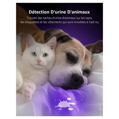 IntiMeg Lampe torche UV 395nm LED lumière