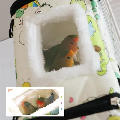 IntiMeg Nid chaud pour perroquet