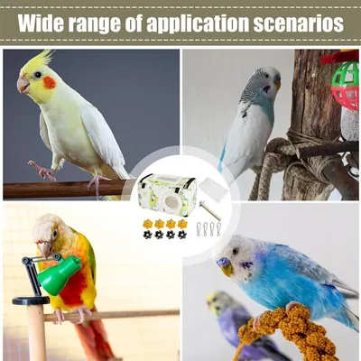 IntiMeg Nid chaud pour perroquet