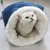 Sac de couchage d'hiver pour chat