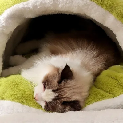 IntiMeg Niche fermée, démontable et chaude 60×45cm