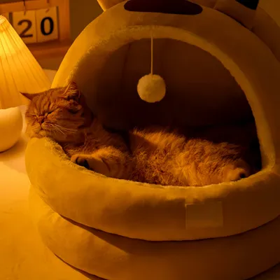 FurryFusion Maison pour chat semi-fermée Lightning Mouse